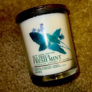 Tea Tree and Fresh Mint candle